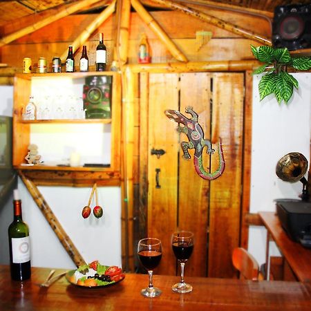 Ecolodge Puente Explanacion Salento Dış mekan fotoğraf