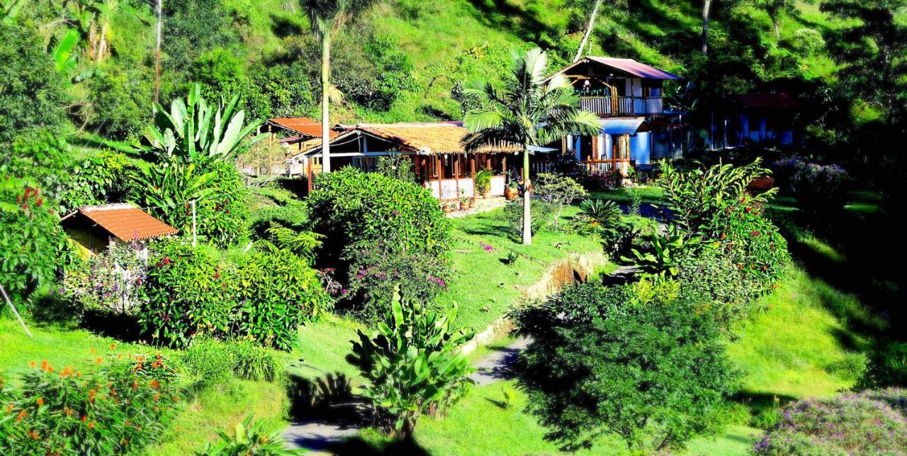 Ecolodge Puente Explanacion Salento Dış mekan fotoğraf