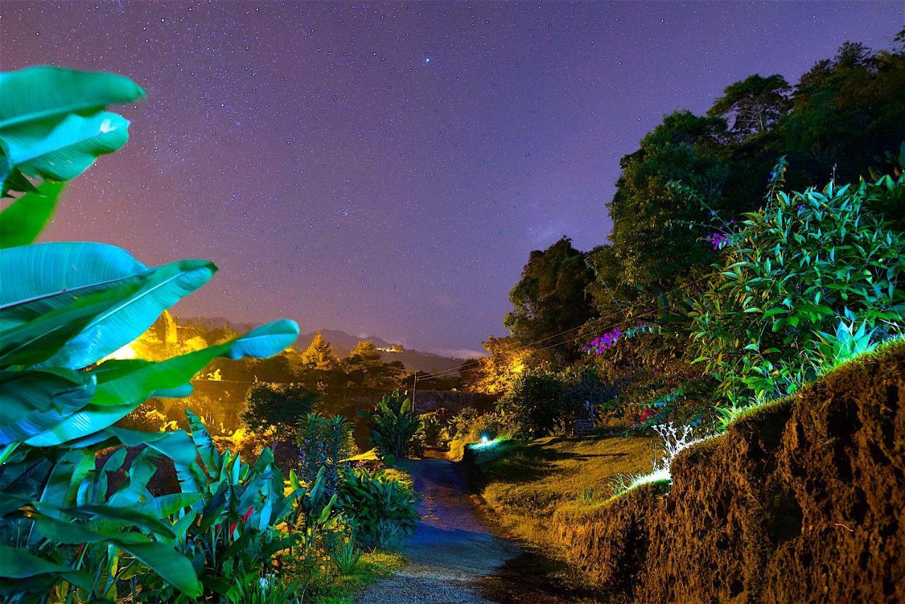 Ecolodge Puente Explanacion Salento Dış mekan fotoğraf