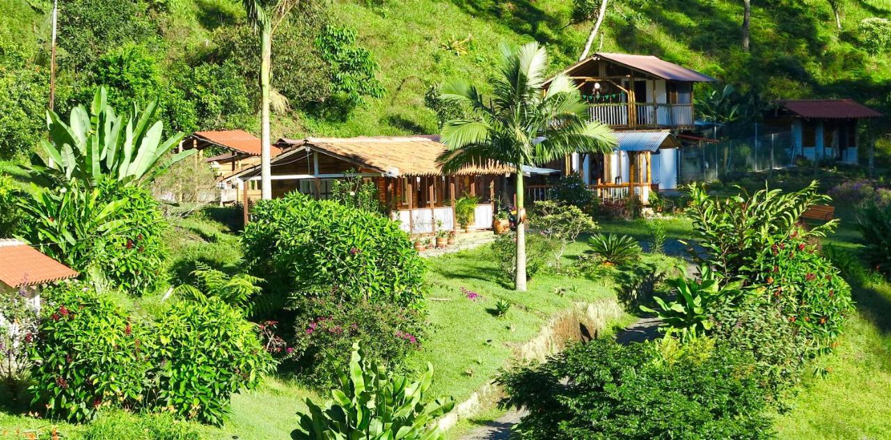 Ecolodge Puente Explanacion Salento Dış mekan fotoğraf