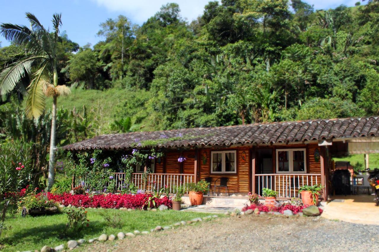 Ecolodge Puente Explanacion Salento Dış mekan fotoğraf