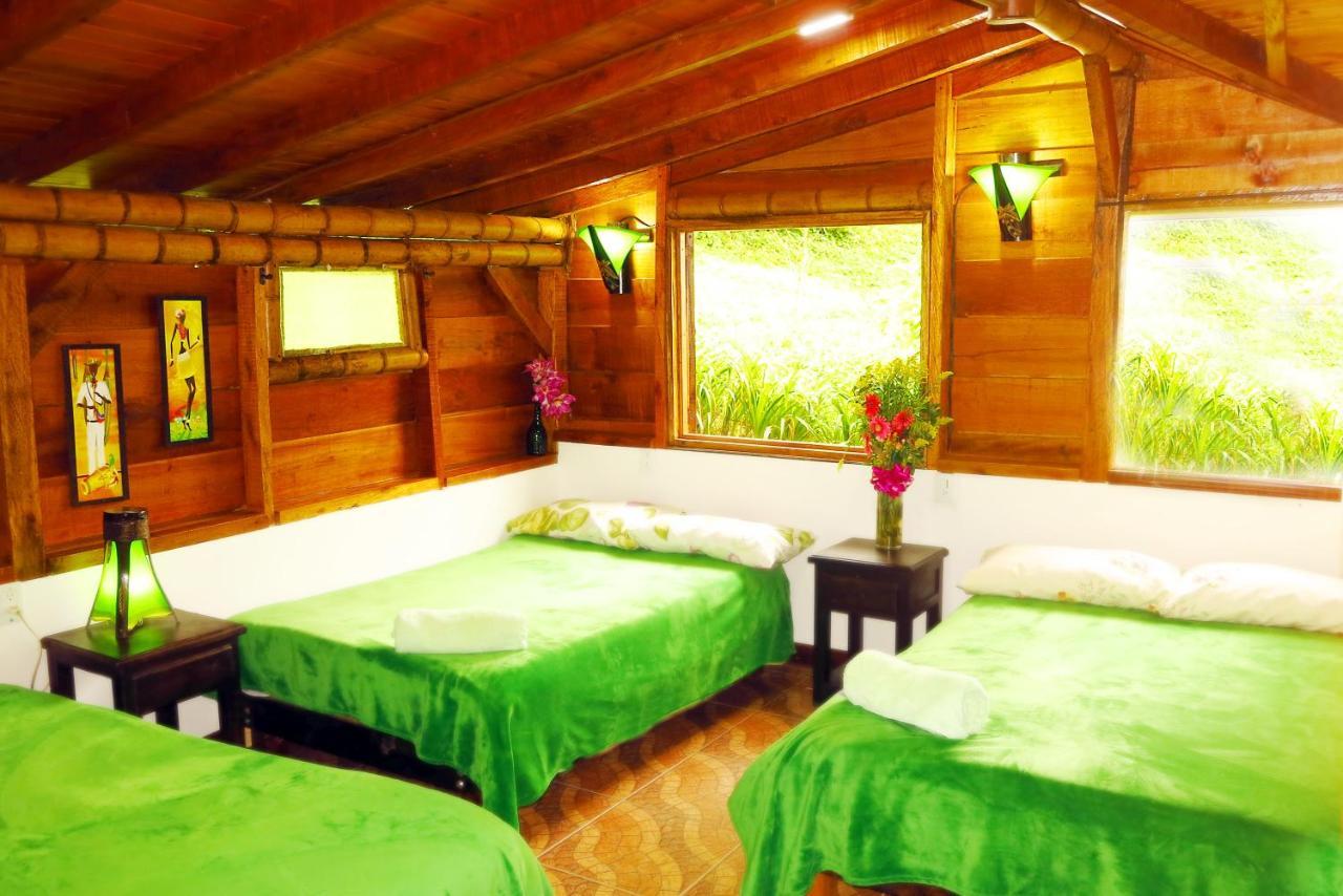 Ecolodge Puente Explanacion Salento Dış mekan fotoğraf