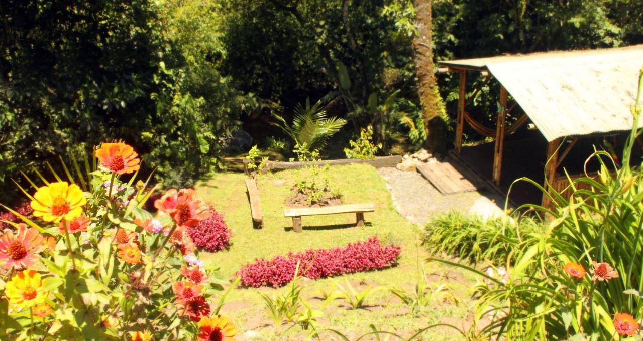 Ecolodge Puente Explanacion Salento Dış mekan fotoğraf