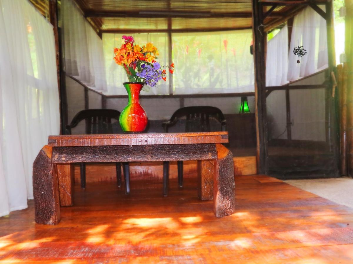 Ecolodge Puente Explanacion Salento Dış mekan fotoğraf