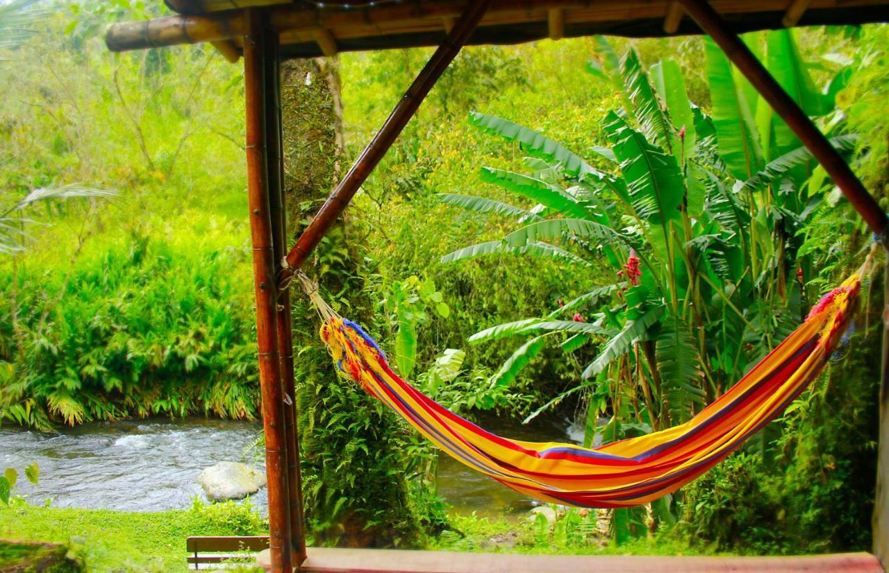 Ecolodge Puente Explanacion Salento Dış mekan fotoğraf